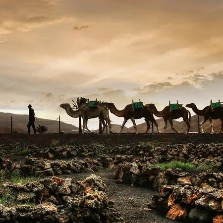 Home2book Bright Playablanca, Terrace Appartement Playa Blanca (Lanzarote)