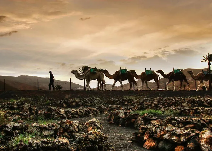 Home2book Bright Playablanca, Terrace Appartement Playa Blanca (Lanzarote)