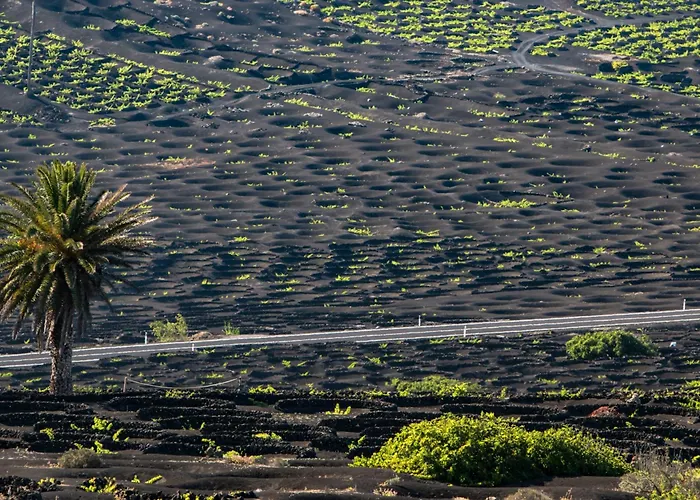Home2book Bright Playablanca, Terrace Playa Blanca (Lanzarote)