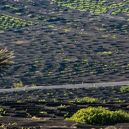 Home2book Bright Playablanca, Terrace بلايا بلانكا